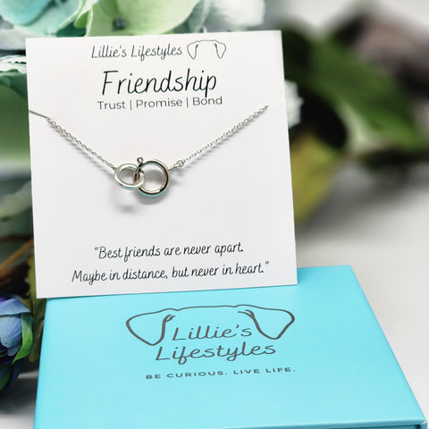 Friendship