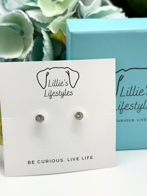 Sterling Silver Circle CZ Stud Earrings